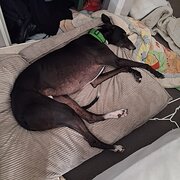 Shailer Park, Queensland, Australia