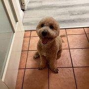 Stretton Brisbane, Queensland, Australia