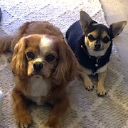 Jimboomba, Queensland, Australia