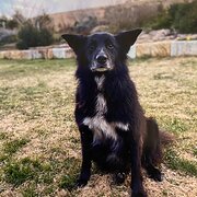 The Rocks, New South Wales, Australia