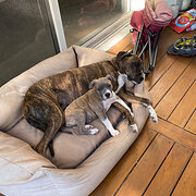 Black Rock, Victoria, Australia