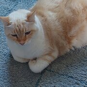 Bargara, Queensland, Australia