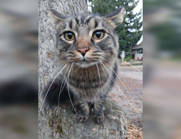 Victoria, British Columbia, Canada