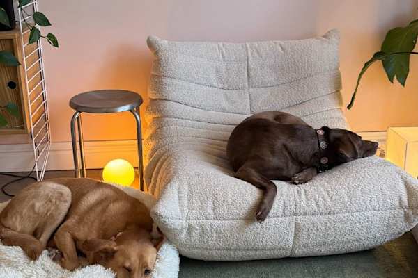 Amsterdam, North Holland, Netherlands