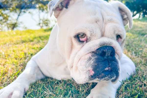 Brisbane, Queensland, Australia