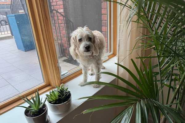 Brooklyn, New York, United States