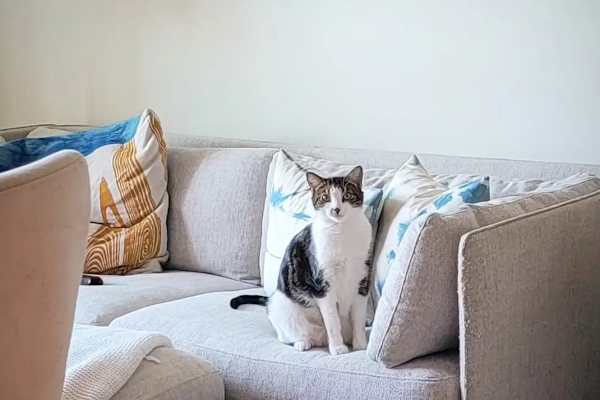 Portsmouth, New Hampshire, United States