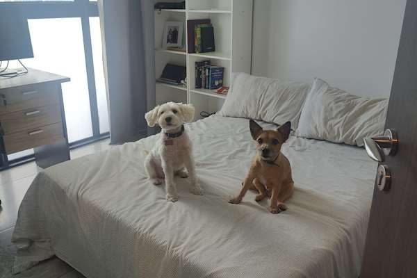 Jurong Town, South West, Singapore