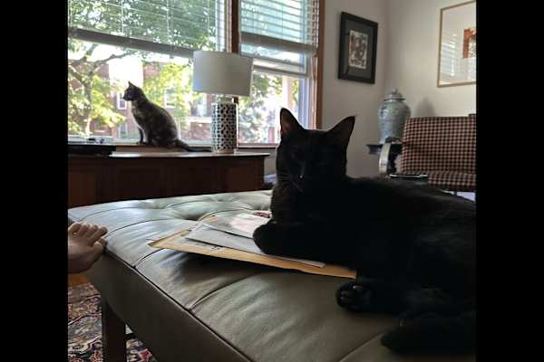 Chicago, Illinois, United States