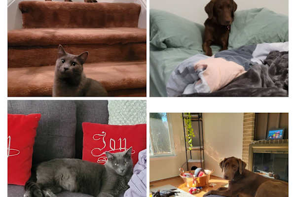 Santa Ana, San Jose, Costa Rica