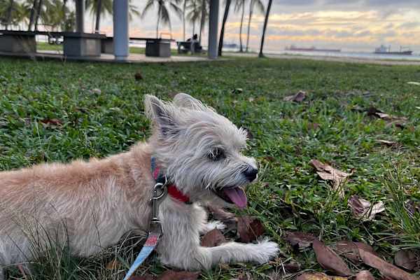 Singapore, Central Singapore, Singapore