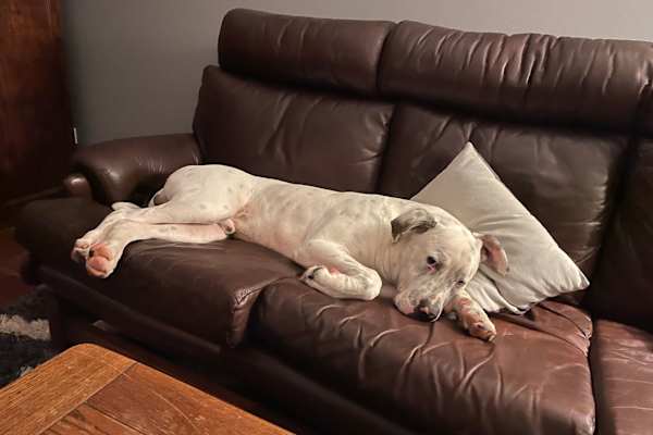 Canberra, Australian Capital Territory, Australia