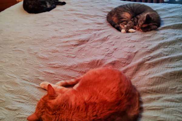 South Saint Paul, Minnesota, United States