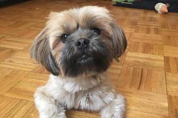 Chicago, Illinois, United States