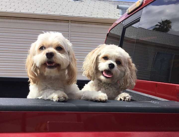 Mesa, Arizona, United States