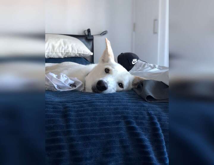 Calgary, Alberta, Canada