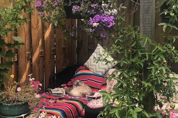 Amsterdam, North Holland, Netherlands