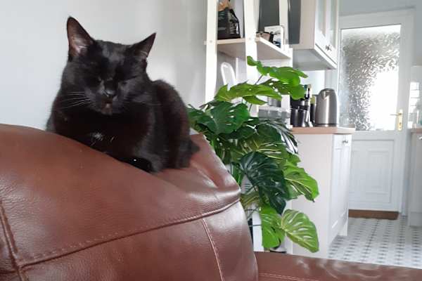 Cill Airne, Munster, Ireland