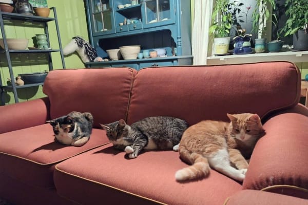 Flå, Buskerud, Norway