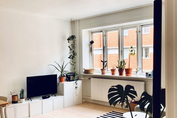 Copenhagen, Capital Region, Denmark