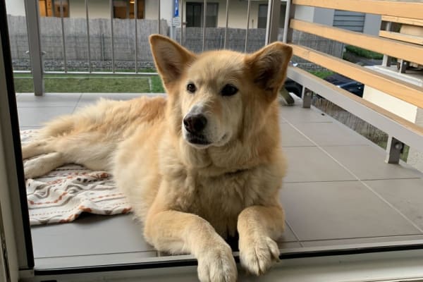 Kraków, Lesser Poland Voivodeship, Poland