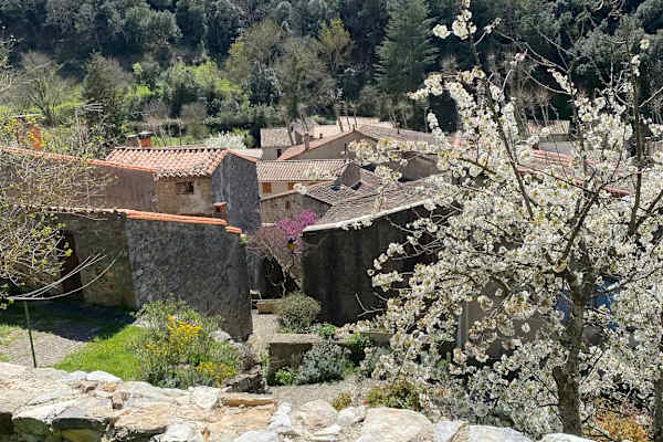 Termes, Grand-Est, France