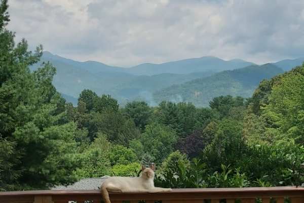 Swannanoa, North Carolina, United States