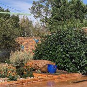 Griffith, New South Wales, Australia