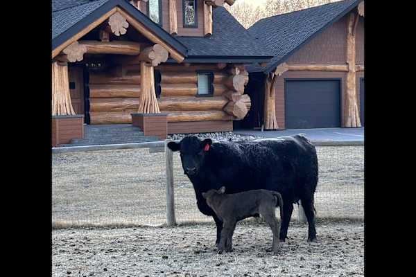 Sherwood Park, Alberta, Canada