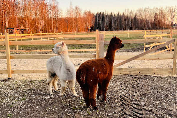 Suchowola, Podlasie, Poland