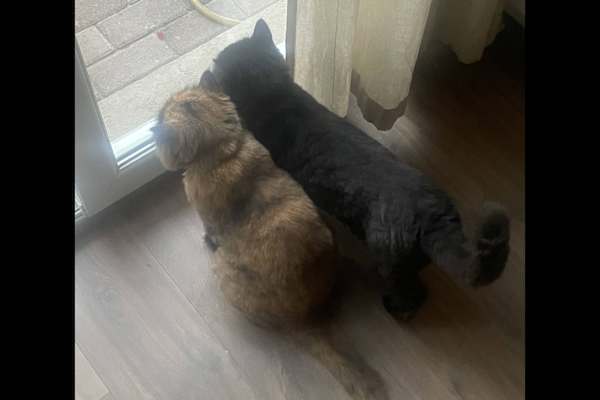 Dubai, Dubai, United Arab Emirates