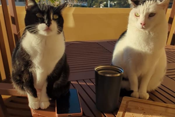 Cártama, Andalusia, Spain