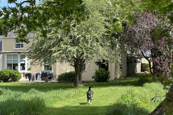 Ashford, Leinster, Ireland