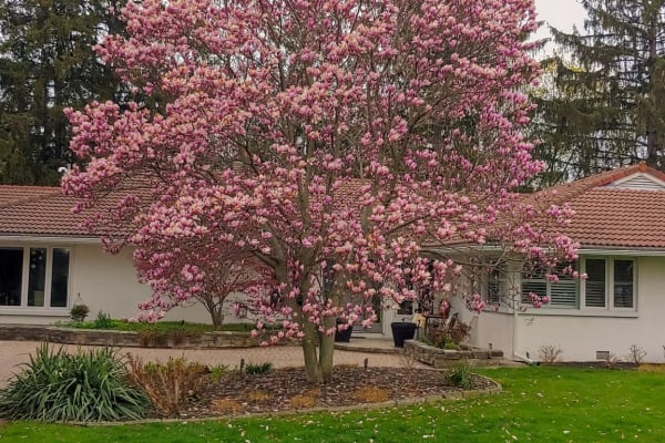 St. Catharines, Ontario, Canada