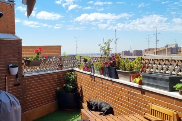 Madrid, Madrid, Spain