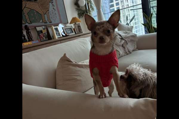 Dubai, Dubai, United Arab Emirates