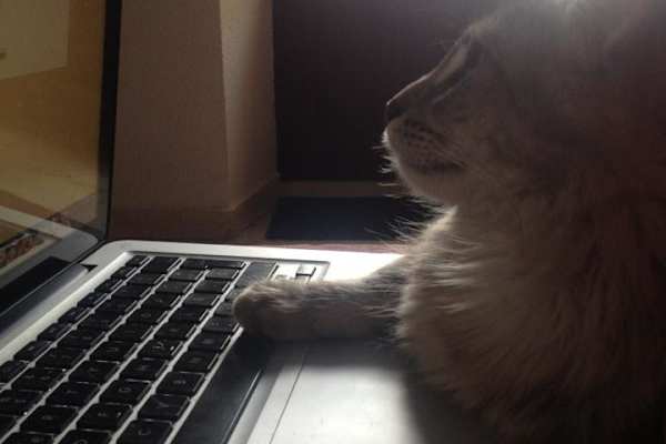 Granada, Andalusia, Spain