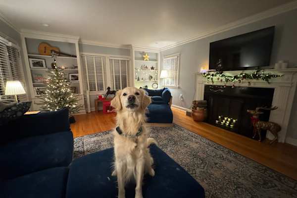 Excelsior Springs, Missouri, United States