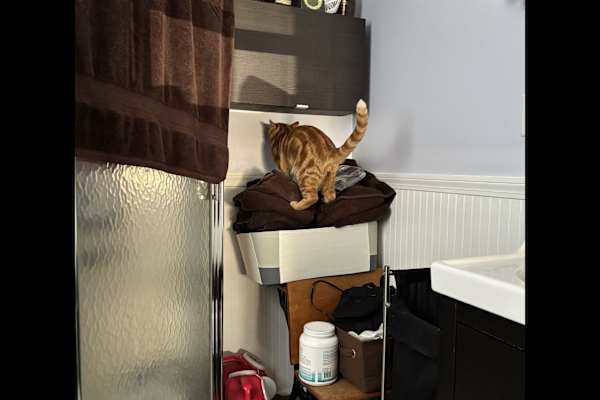 Quincy, Massachusetts, United States