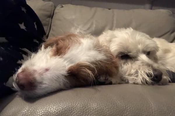 Canberra, Australian Capital Territory, Australia