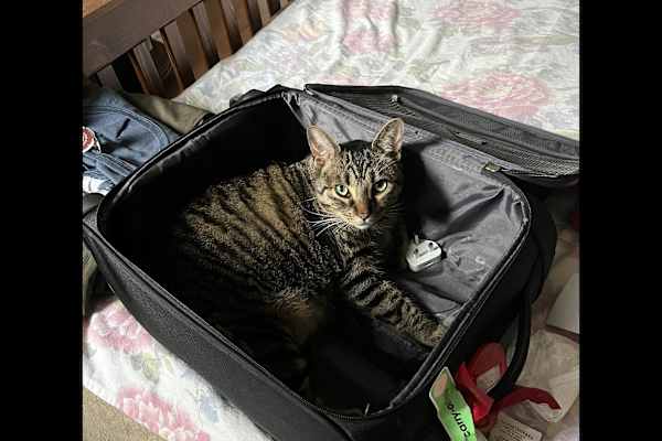 Walkerton, Ontario, Canada