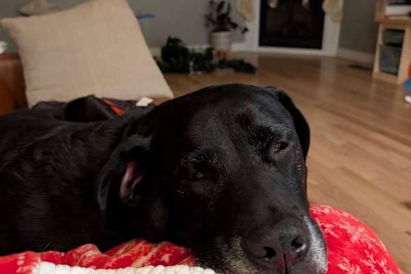 Almonte, Ontario, Canada