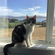 Low Head, Tasmania, Australia