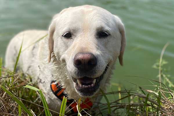 Herzogenaurach, Bavaria, Germany