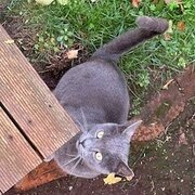 Burnie, Tasmania, Australia