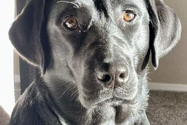 Oro Valley, Arizona, United States