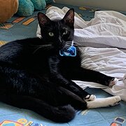 Tanah Merah, Queensland, Australia