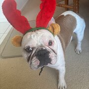 Royal Park, South Australia, Australia