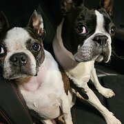 Craigburn Farm, South Australia, Australia