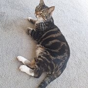 Sunbury, Victoria, Australia